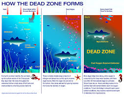 منطقه مرده دریایی